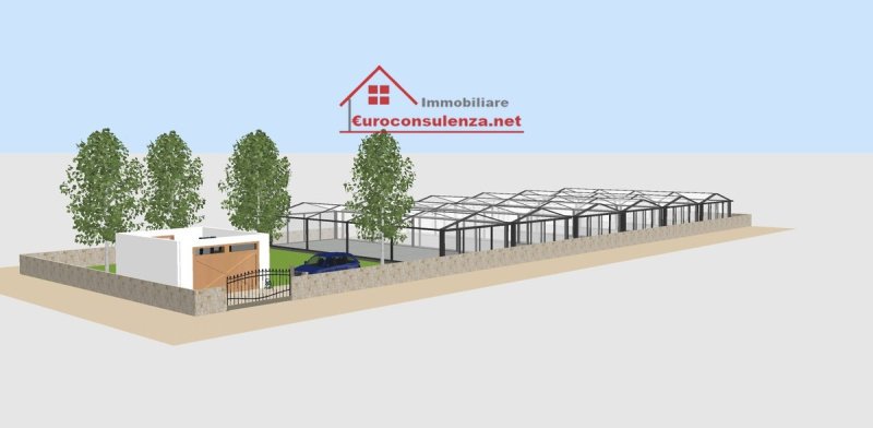 梅利萨诺商业房产